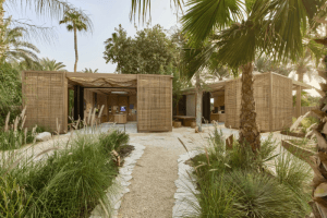 Inside Jumeirah's Eco Village: A Sustainable Journey at Madinat Jumeirah
