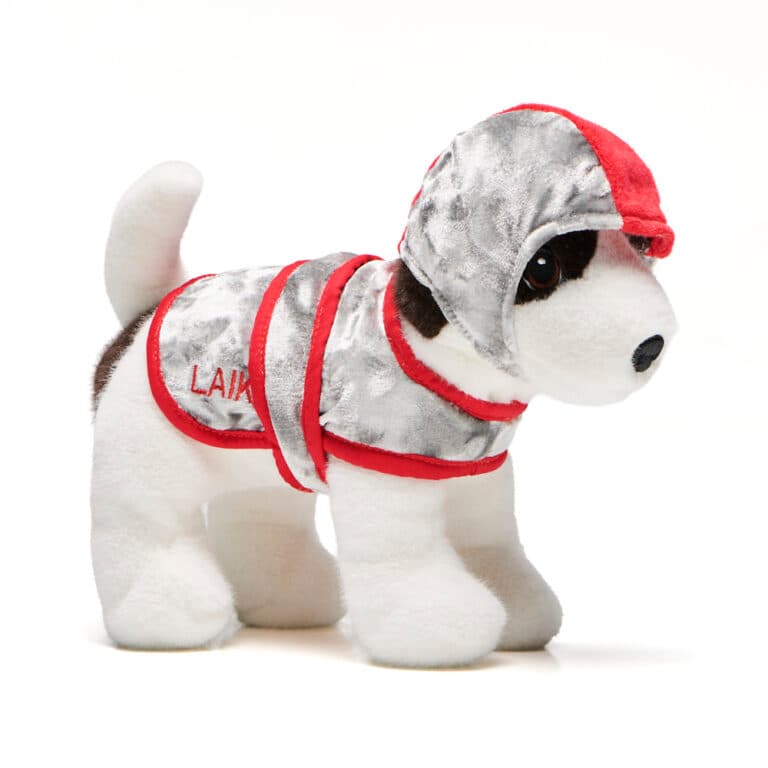 Exciting Science Museum Gifts to Spark Curiosity this Holiday Season