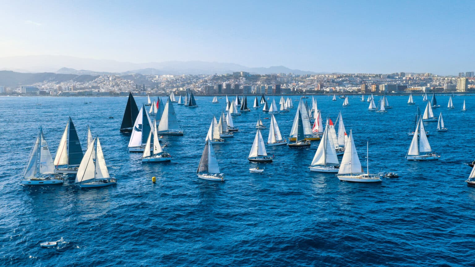 Four Decades of the ARC: Evolution and Legacy