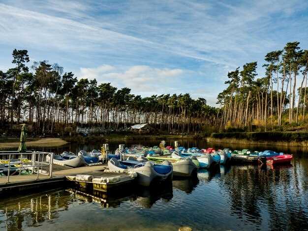 Crystal River: Entry Points, Wildlife Etiquette, and Shore Launch Tips