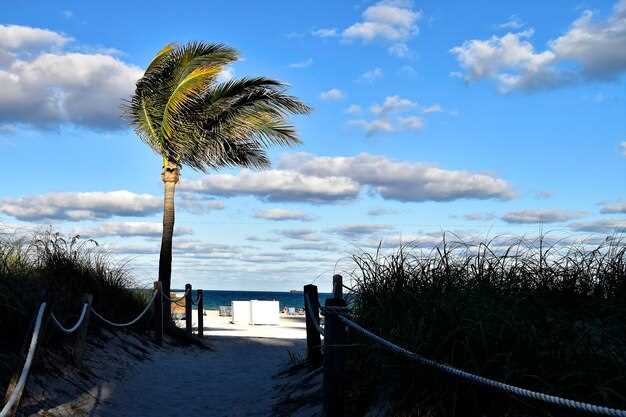 Art and culture: Norton Museum of Art December highlights and hours