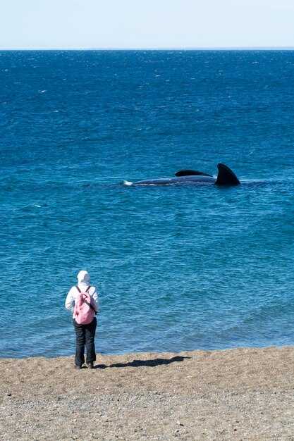 Cruise duration, routes, and what’s typically included