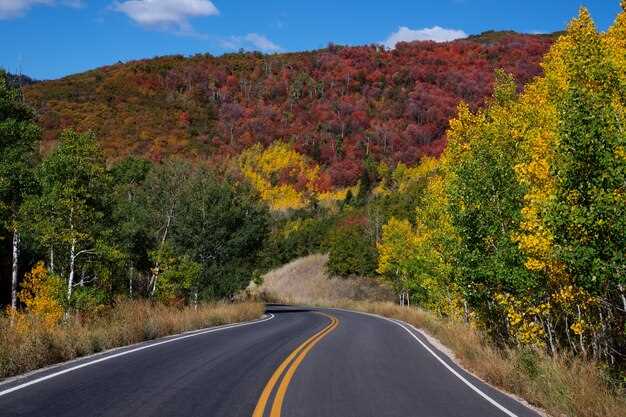 Best Time to Visit for Spring Activities