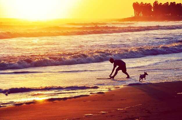 Parking, Facilities, and Beach Gear: What to Expect