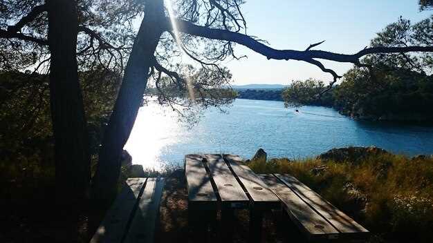 Seasonal tips and must-have gear for Raleigh-area lake trips