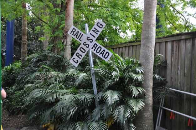 Cafecito as a Morning Alarm: Recreate the Ritual at Home