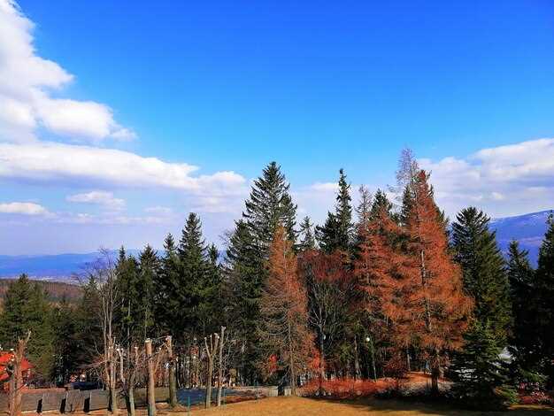 November Travel Hot Spots in the USA 2025