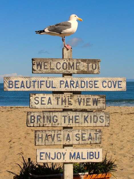 30 Fun Things to Do in East Hampton, New York