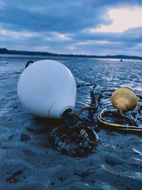 Why It Matters to Your Community: Health, Ecosystems, and Economic Impacts of Ocean Plastics