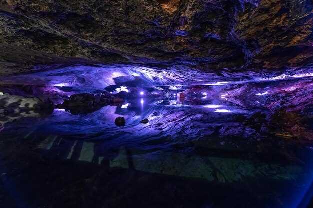 Carlsbad Coast and Nearby California Spots – Seasonal Windows, Locations, and Parking