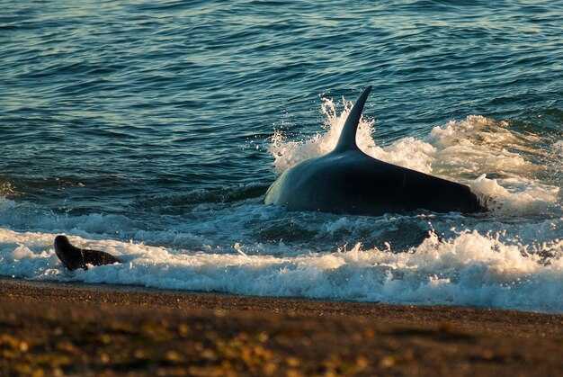 Tour 4: Budget‑Smart Choices – Prices, discounts, and gear included