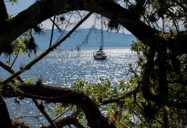 Kotwiczenie, Zasady Lądowania i Planowanie z Uwzględnieniem Pływów