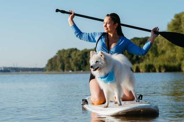 6 Essential Tips for Boating with Your Dog – Advice from a Boat-Dog Mom