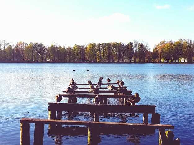 Family-Friendly Lakeside Activities and Shoreline Safety