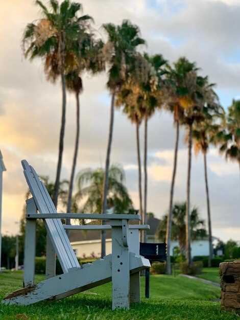 Amenities and Nearby Conveniences: kitchen setup, laundry, Wi‑Fi, and local dining