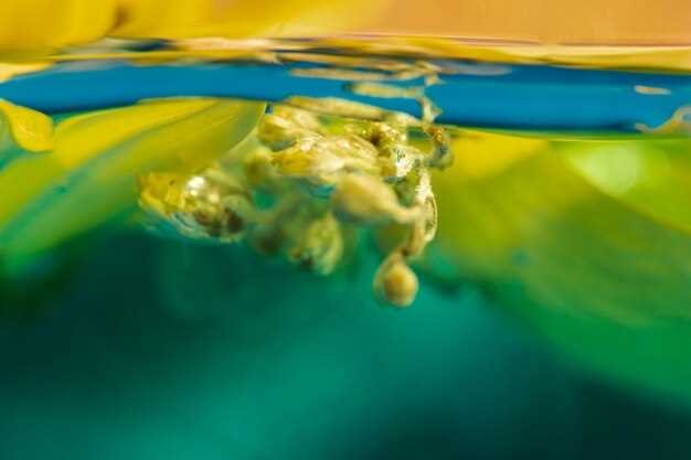 Praktischer Leitfaden für Bootsführer und Trübungsbeobachtungen