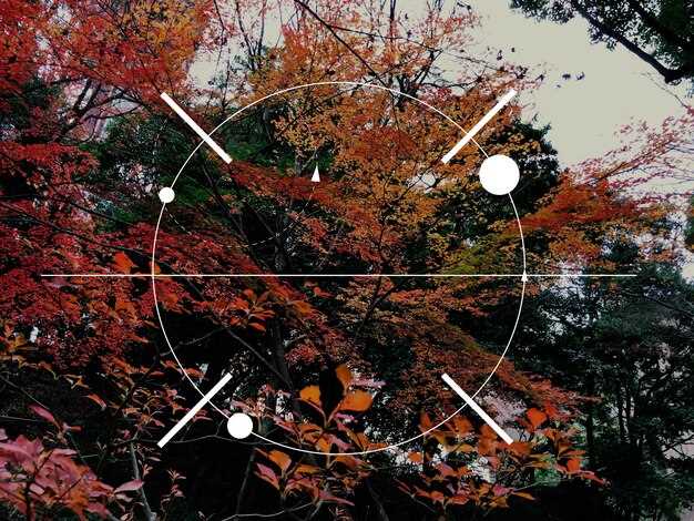 Anchoring Rode and Scope – A Practical Guide to Setup and Calibration