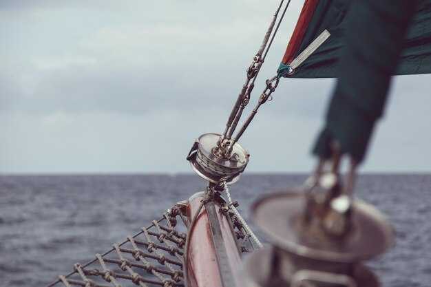 SailGP Fan Awards: nomination process, voting window, and timeline for results