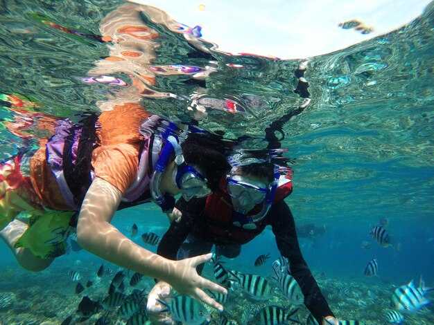 Wreck Dives in Aruba: Site-by-Site Depth, Currents, and What You’ll See