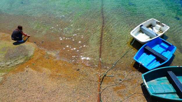 Tampa Bay & Clearwater: accessible options, vessel types, and seasonal patterns