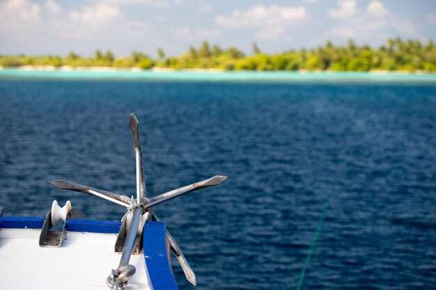 Provisioning, Moorings, and Dockage: Where to Fuel, Anchor, and Check In