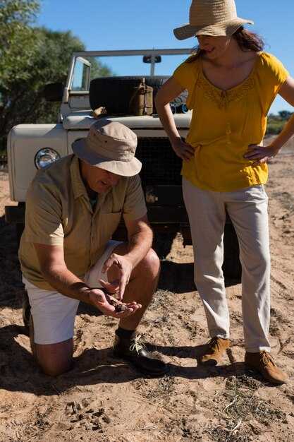 One-Week Baja California Itinerary: Coastal Highlights and Whale-Watching Stops