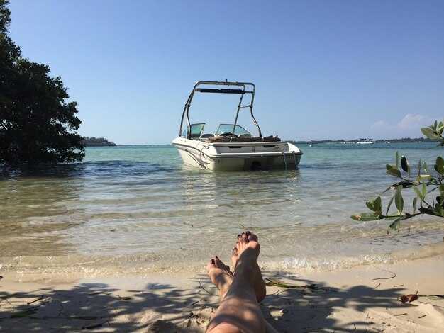 Private vs. Shared Charters: Pros, Cons, and When to Choose