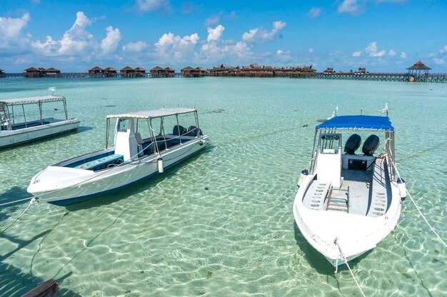 Yamaha 242XE Spotlight: Performance, Capacity, and Handling