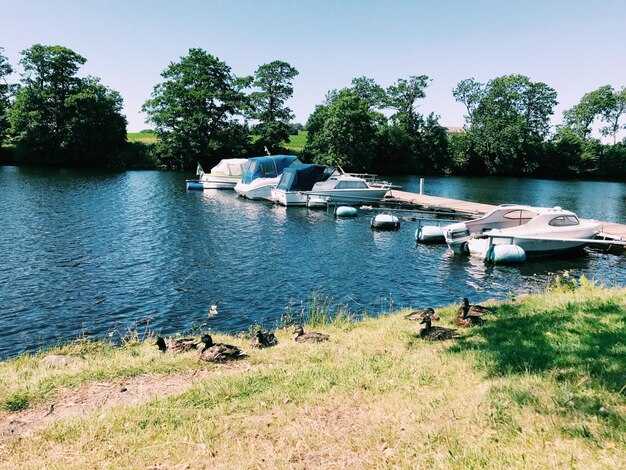 Best Boat Rentals Near Cornelius, NC: A Practical Guide