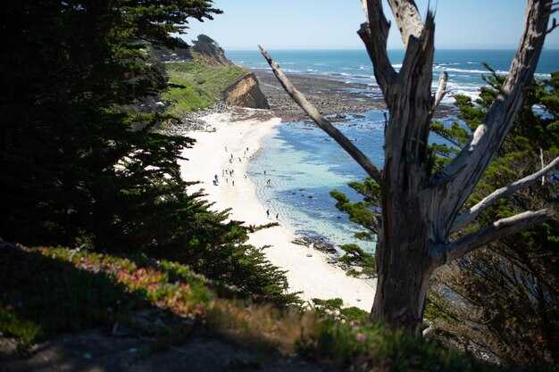 Access and transport: parking, ferries, and boat transfers