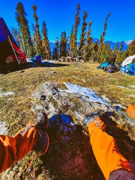 Practical guide for selecting and enjoying nearby campgrounds