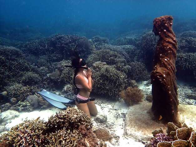 Wrecks versus reefs: selecting the dive type for your yacht itinerary