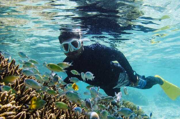 Wrecks and Reefs: What to Expect