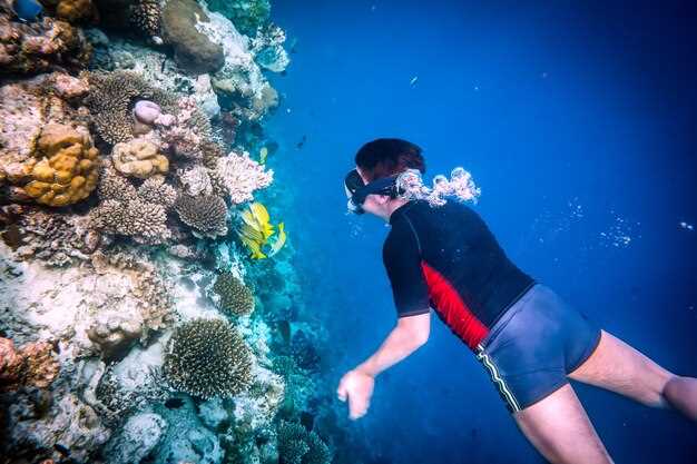Wreck-dive hotspots: exploring Chuuk Lagoon’s sunken fleet