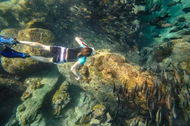 Best Diving in the Asia-Pacific: Top Dive Sites & Experiences