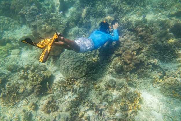 Spot-by-spot access: shore vs. boat dives and how to plan each session