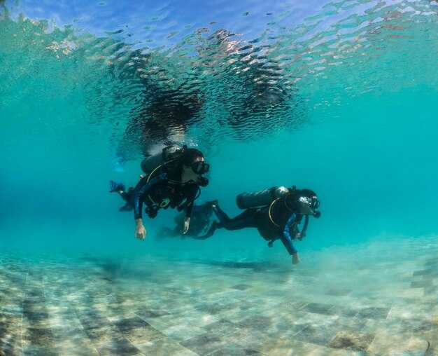 What to Expect on a Guided Underwater Session in Mission Bay