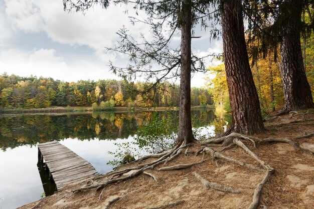 Parking, restrooms, and trailhead access near popular lakes