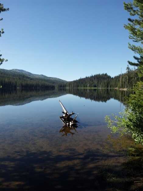 Lake Zumbro: Launch sites, weather tips, and target species