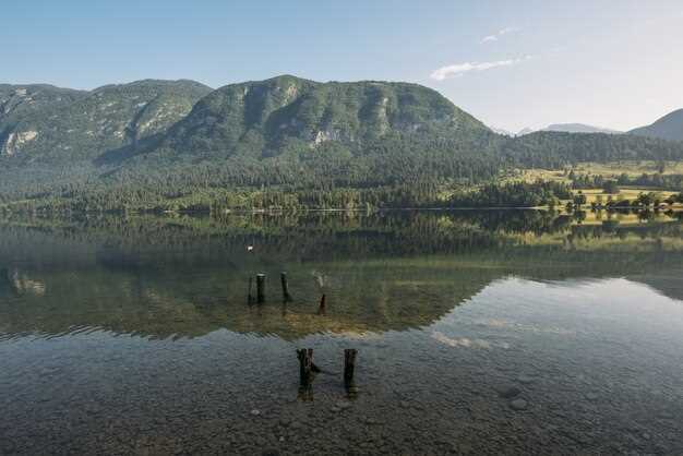 Pitt Lake: Boat Regulations, Shore Access, and Wildlife Viewing