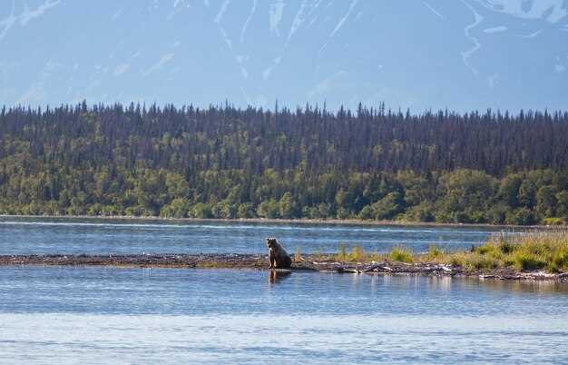 Best Lakes Near Vancouver – Top Spots for Day Trips Around Vancouver, BC