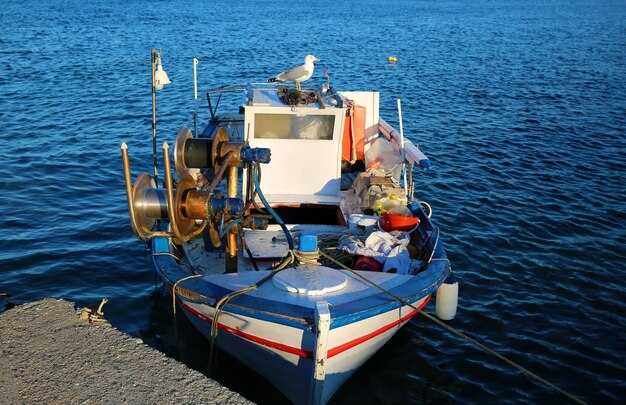 How to evaluate cockpit layout for offshore use: access, fish handling, storage, and safety?