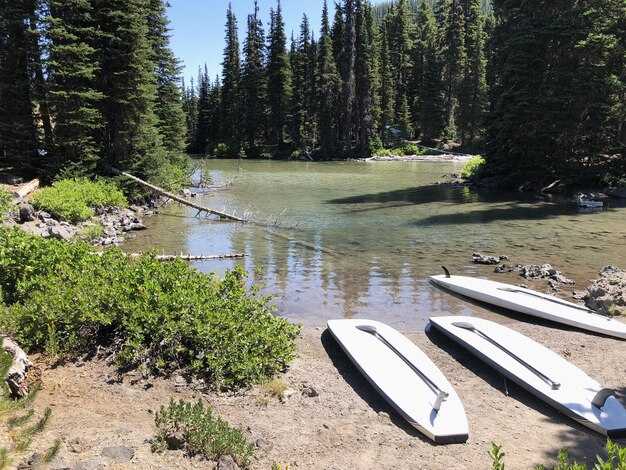 Best Places to Rent a Boat at Lake Powell, Arizona – Boat Rentals Guide