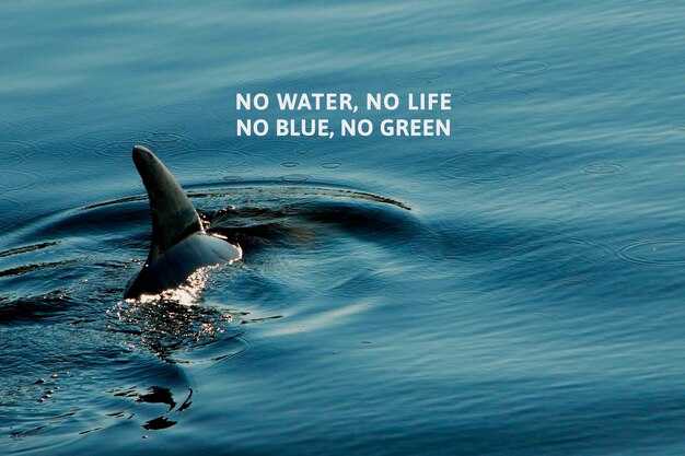 What you can expect to see in Hervey Bay, Queensland