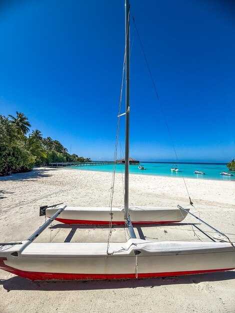 Family, Beginners, and Safety: Crew, Gear, and Easy Itineraries