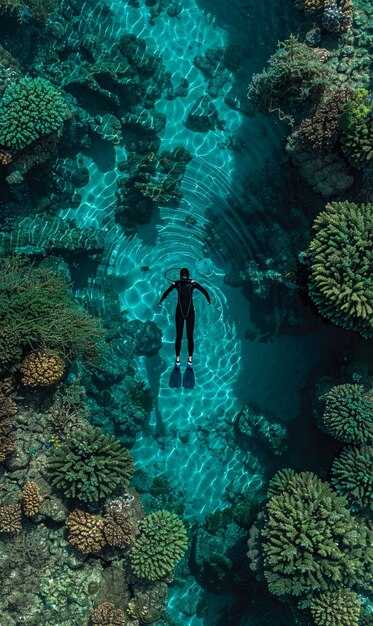 Gear and safety: gear needed, rental tips, and on-site safety checks