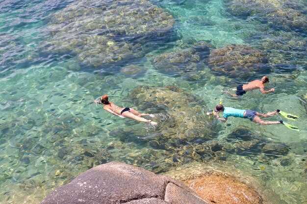 Best timing for Palawan snorkeling: seasons, tides, and daily windows