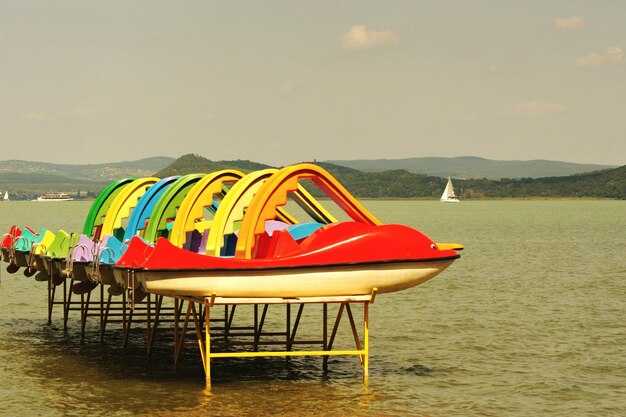 Best Texas Airboat Tours – Top Airboat Adventures in Texas