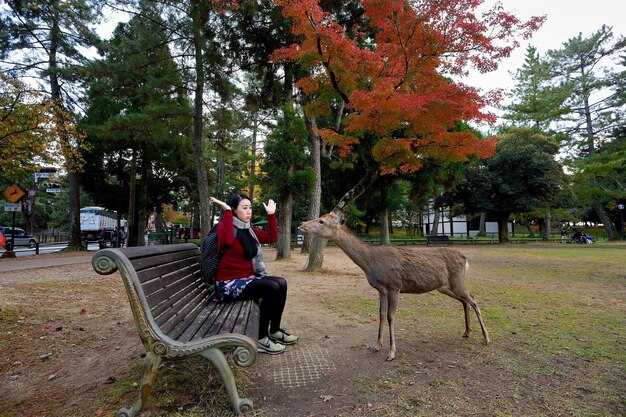 Arizona State Parks Within a Day Trip: Buckskin Mountain, Cattail Cove & Lake Havasu Parks