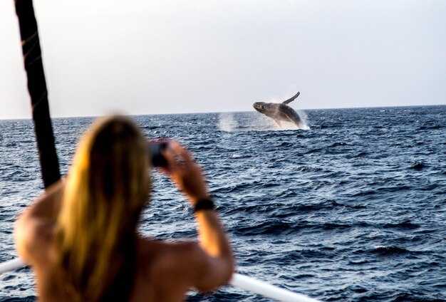 Best Whale Watching Tours – Top Destinations and Tips